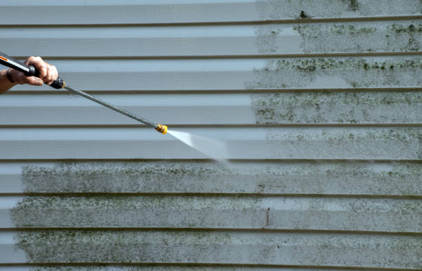 Best Professional Mold Removal  in Moxee, WA