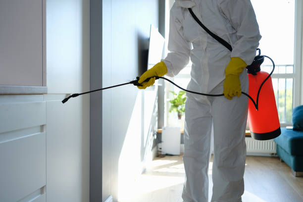 Best Certified Mold Removal  in Moxee, WA