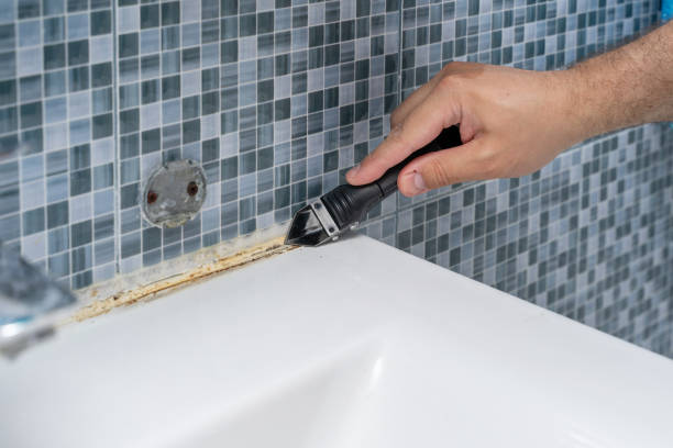 Best Attic Mold Removal  in Moxee, WA